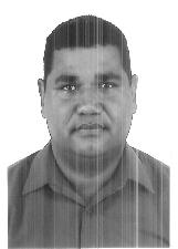 Foto de IDELBRANDO SILVA DE FREITAS