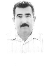 Foto de JOÃO LUIZ VAZ MARTINS