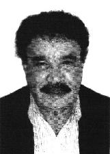 Foto de PEDRO RIBEIRO DA CRUZ
