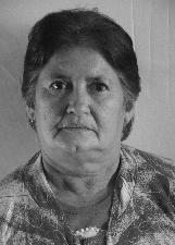 Foto de ELVIRA MELO RIBEIRO