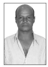 Foto de FRANCISCO DE PAULO MARTINS