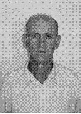 Foto de JOSE NATALINO NOGUEIRA