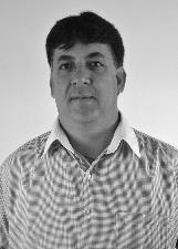 Foto de MARCELO ASSIS NEVES