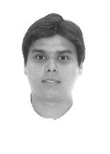 Foto de LUIS CESAR DE LARA PINTO FILHO