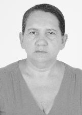 Foto de MARIA DE FATIMA SILVEIRA FERRACINE