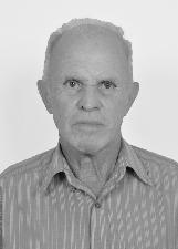Foto de DELPHINO BIDOIA