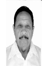 Foto de LENIL RIBEIRO RODRIGUES