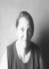 Foto de CLEIDE RODRIGUES LEITE