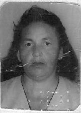 Foto de ANTONIETA LUISA FERREIRA DE CARVALHO