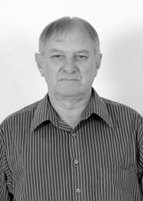 Foto de ELEMAR DIECKEL