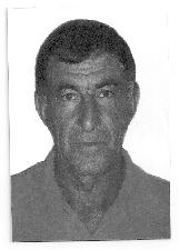 Foto de VALDEMAR MARTINELI