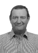 Foto de LUIZ DESINGRINI