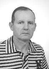 Foto de NIVO STRELOW