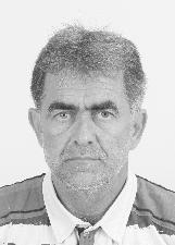 Foto de NILSON HORST