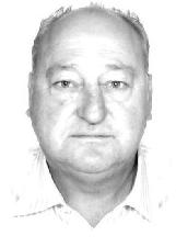 Foto de HEBERT GILSO WERKA