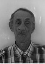 Foto de CASTRALDO GAMA BRITO