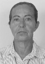 Foto de MARIA APARECIDA NOGUEIRA