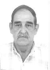 Foto de ARY BORGO