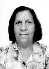 Foto de ROSA DE PROENÇA COTONA