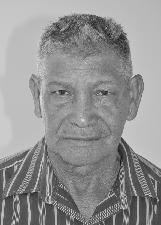 Foto de FRANCISCO LUIZ DE OLIVEIRA