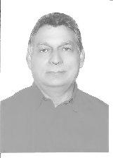 Foto de NELSON PEREIRA DE CARVALHO