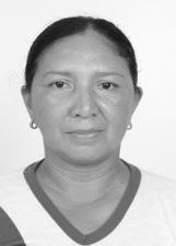 Foto de SELMA OLIVEIRA PINTO