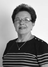 Foto de NAIR DE FÁTIMA TEIXEIRA FAGUNDES FARIAS GONÇALVES