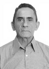 Foto de MIGUEL BORGES RIBEIRO