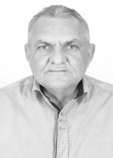 Foto de DIVINO TRISTÃO DE GODOI