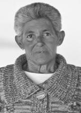 Foto de ROSA MARIA BONINI DE FREITAS