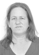 Foto de SIRLEI DE FÁTIMA BORGES FERREIRA