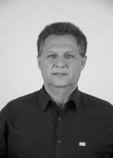 Foto de PAULO DE TARSO DINIZ MASSARA