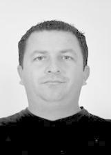 Foto de ANDRE DE PAULA ALVES