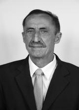 Foto de ELMIR SEBASTIAO VIEIRA