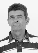 Foto de MIGUEL VELOSO ALMEIDA