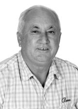 Foto de MANOEL DIVINO PEREIRA TERTO