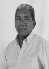 Foto de MARTINS RIBEIRO MONTEIRO