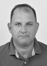 Foto de SAMUEL DE OLIVEIRA BORTOLIN