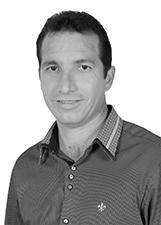 Foto de SELÇO DE OLIVEIRA