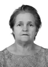 Foto de APOLÓNIA APARECIDA GROTO