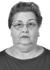 Foto de NAIR DOS SANTOS CHERUBIN