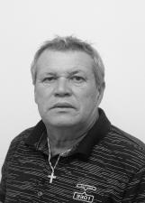 Foto de GENANCY FRANCISQUINI DA SILVA
