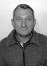 Foto de NOLI DAMASCENO SROCZYNSKI