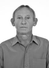 Foto de Elo Noll