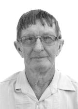 Foto de IVO INGO LAUER