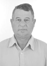 Foto de DELCIO MAUS