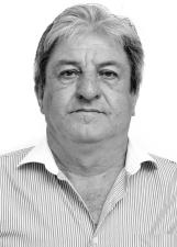 Foto de ZENONE DE PELEGRIN
