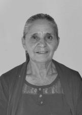 Foto de ELIZABETH FERREIRA RODRIGUES