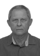Foto de PEDRO TADEU STRINGUETTI