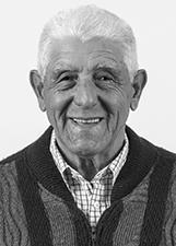 Foto de DARCY FERREIRA DE CAMARGO